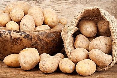 《Chef RPG》Steam抢先体验 海边小镇餐厅经营